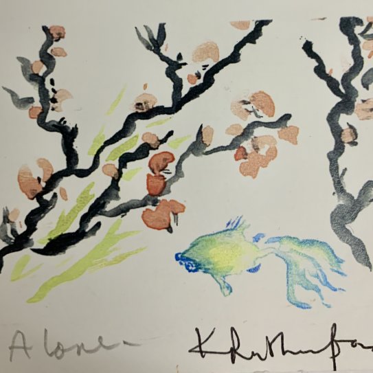 Artist of the Month