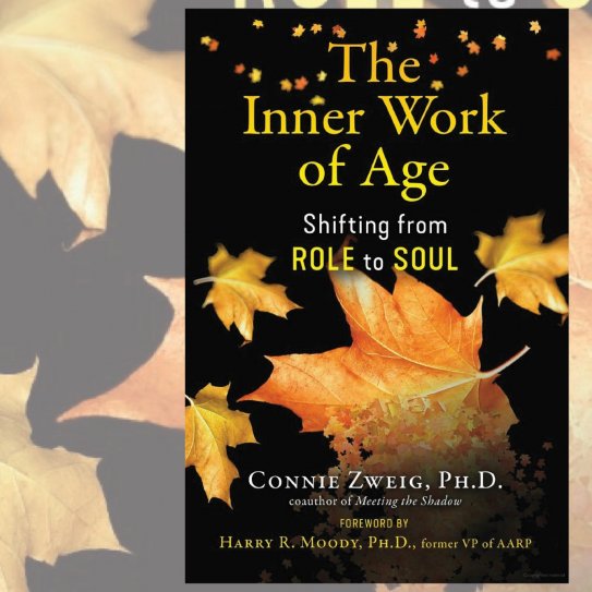 Insight Into Aging series
